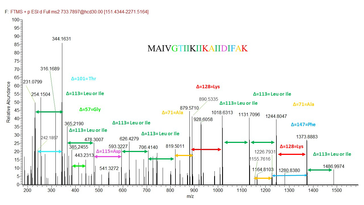 MS/MS fragmentation spectrum for the peak at m/z 733.790. Logical losses for amino acids are shown using the de novo sequencing method. The peak is identified as PSMα4. (The amino acids colored in black in the sequence were not present in the spectrum.)