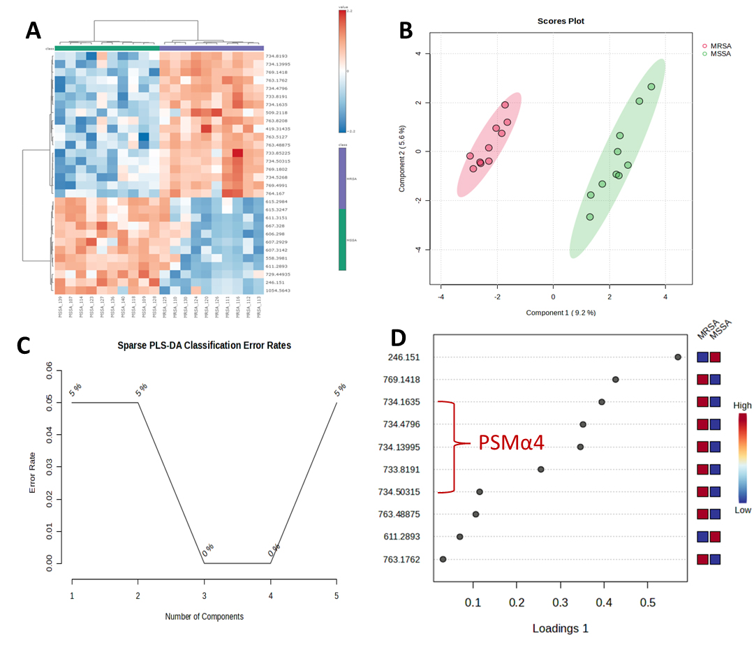Multivariate statistical analysis of MSSA and MRSA clinical isolates. (A) Heatmap of the top 30 features from the t-test. (B) sPLS-DA score plot performed on the top features separated into two components. (C) Graph for sPLS-DA classification error rates. (D) VIP score plot from the sPLS-DA analysis.